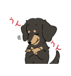 陽気なダックスフンド・ブラックタン（個別スタンプ：17）