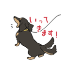 陽気なダックスフンド・ブラックタン（個別スタンプ：22）