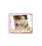 なっちゃんスタンプ 動画（個別スタンプ：3）