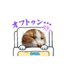 なっちゃんスタンプ 動画（個別スタンプ：8）