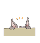 おいでミミちゃんスタンプ（個別スタンプ：13）