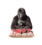 関西弁ゴリラ主婦 (夫婦/連絡/子育て/育児（個別スタンプ：3）