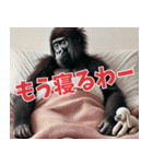 関西弁ゴリラ主婦 (夫婦/連絡/子育て/育児（個別スタンプ：12）