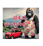 関西弁ゴリラ主婦 (夫婦/連絡/子育て/育児（個別スタンプ：29）