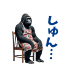 関西弁ゴリラ主婦 (夫婦/連絡/子育て/育児（個別スタンプ：37）
