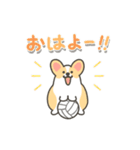 いちコギのうごくバレーボールスタンプ（個別スタンプ：7）