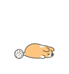 いちコギのうごくバレーボールスタンプ（個別スタンプ：11）