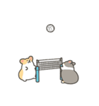 いちコギのうごくバレーボールスタンプ（個別スタンプ：19）