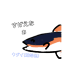 魚スタンプ第2弾リメイク（個別スタンプ：3）
