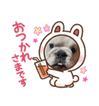 ライオン蘭丸武丸の使えるスタンプ（個別スタンプ：3）
