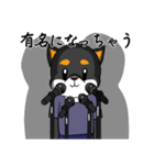 お風呂が待ち遠しい黒柴（個別スタンプ：3）