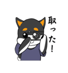 お風呂が待ち遠しい黒柴（個別スタンプ：17）