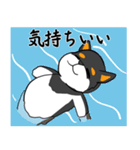 お風呂が待ち遠しい黒柴（個別スタンプ：20）