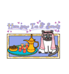 アラブ（イスラム）猫と魔法のランプ（英）（個別スタンプ：28）