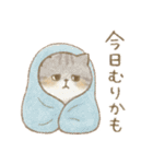 脱力ねこびより（個別スタンプ：3）