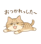 脱力ねこびより（個別スタンプ：8）