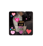 ズッ友スタンプ♡♡♡（個別スタンプ：7）