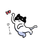 黒ハチねこさん（個別スタンプ：2）