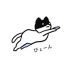 黒ハチねこさん（個別スタンプ：4）