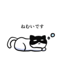 黒ハチねこさん（個別スタンプ：15）