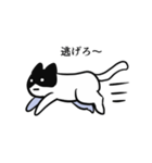 黒ハチねこさん（個別スタンプ：21）