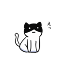 黒ハチねこさん（個別スタンプ：23）