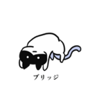 黒ハチねこさん（個別スタンプ：24）