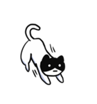 黒ハチねこさん（個別スタンプ：27）