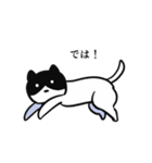 黒ハチねこさん（個別スタンプ：32）