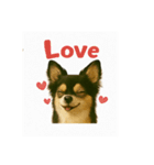 我が家の犬猫スリーベイビーズ♪（個別スタンプ：6）