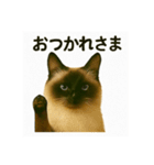 我が家の犬猫スリーベイビーズ♪（個別スタンプ：8）