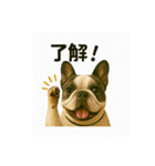 我が家の犬猫スリーベイビーズ♪（個別スタンプ：9）