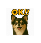 我が家の犬猫スリーベイビーズ♪（個別スタンプ：10）