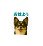 我が家の犬猫スリーベイビーズ♪（個別スタンプ：13）