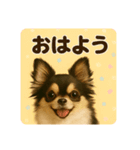 シン＆コウ＆ミーの可愛いスタンプ♪（個別スタンプ：1）