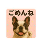 シン＆コウ＆ミーの可愛いスタンプ♪（個別スタンプ：3）
