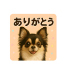 シン＆コウ＆ミーの可愛いスタンプ♪（個別スタンプ：4）