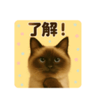 シン＆コウ＆ミーの可愛いスタンプ♪（個別スタンプ：6）