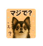 シン＆コウ＆ミーの可愛いスタンプ♪（個別スタンプ：8）