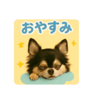 シン＆コウ＆ミーの可愛いスタンプ♪（個別スタンプ：10）