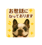 シン＆コウ＆ミーの可愛いスタンプ♪（個別スタンプ：15）
