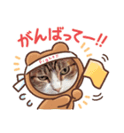 はちゃんとあちゃんのあいさつ（個別スタンプ：5）
