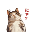 猫様がお腹を見せながらこちらを見てくる（個別スタンプ：1）