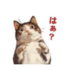 猫様がお腹を見せながらこちらを見てくる（個別スタンプ：2）