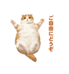 猫様がお腹を見せながらこちらを見てくる（個別スタンプ：11）