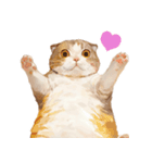 猫様がお腹を見せながらこちらを見てくる（個別スタンプ：17）