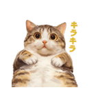 猫様がお腹を見せながらこちらを見てくる（個別スタンプ：21）