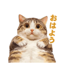 猫様がお腹を見せながらこちらを見てくる（個別スタンプ：22）
