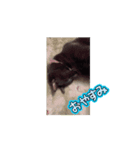 てんしの百合かご動くニャンズ（個別スタンプ：2）