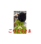 てんしの百合かご動くニャンズ（個別スタンプ：6）